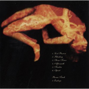 CD Delerium, Stone Tower (Importado USA), 1990