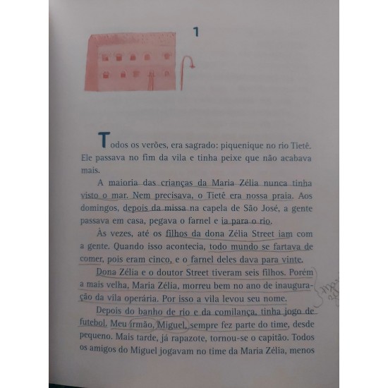 Além do Portão da Vida, Eliana Martins, Ilustrações Lúcia Brandão