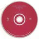 Cd Gorky's Zygotic Mynci – The Blue Trees, Sun Records Cd Gorky's Zygotic Mynci – The Blue Trees, Sun Records