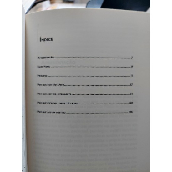 Ecce Homo, Como se Chega a Ser o que Se É, Nietzsche