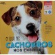 O Que os Cachorros Nos Ensinam, Roberta Faria O Que os Cachorros Nos Ensinam, Roberta Faria