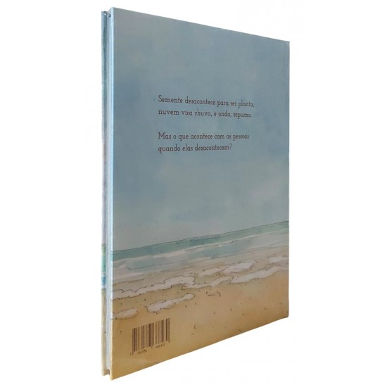 Quando as Coisas Desacontecem, Alessandra Roscoe, Odilon Moraes, Capa Dura, Editora Biruta Quando as Coisas Desacontecem, Alessandra Roscoe, Odilon Moraes, Capa Dura, Editora Biruta