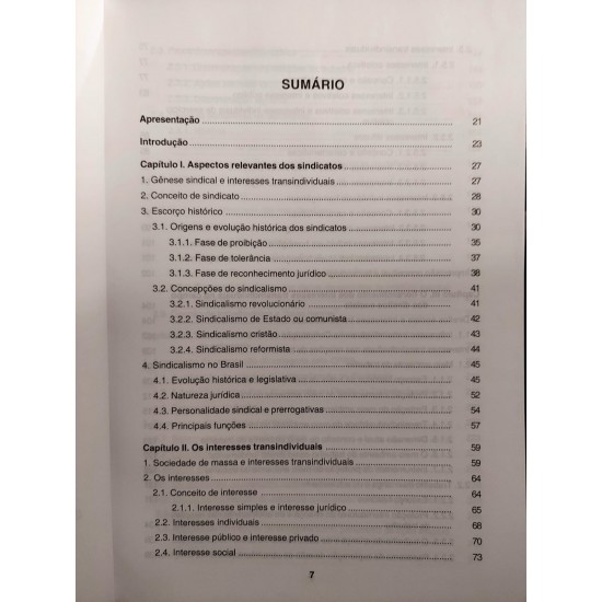 Sindicatos e Ações Coletivas. Acesso à Justiça, Jurisdição Coletiva e Tutela, Ronaldo Lima dos Santos