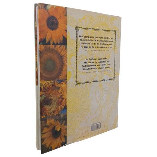 Sunflowers, Debra N. Mancoff