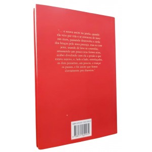 Um Copo de Cólera, Raduan Nassar